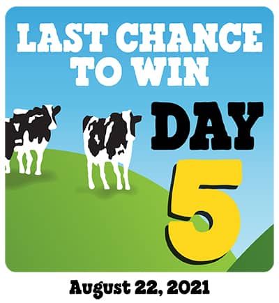 Day 5
