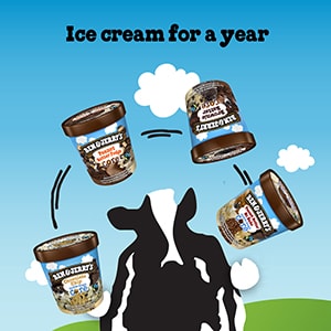 Ice Cream for a year