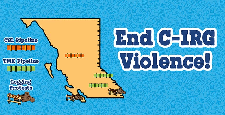 BNJ-CA-CIRG-Landing-Page_Map_779x400_End-CIRG-Violence_OS.jpg
