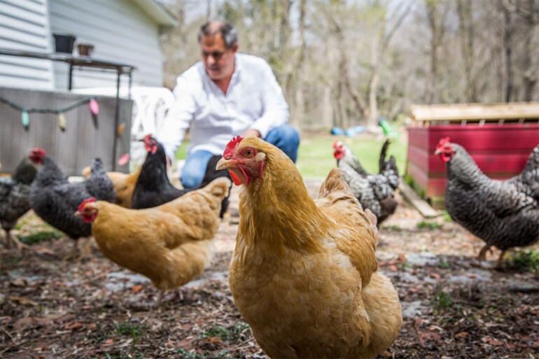 A Picture of Eric with Chickens