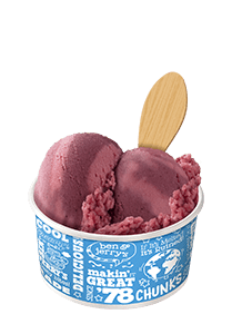 Flavor Detail Page - Berry Berry Extraordinary® Sorbet